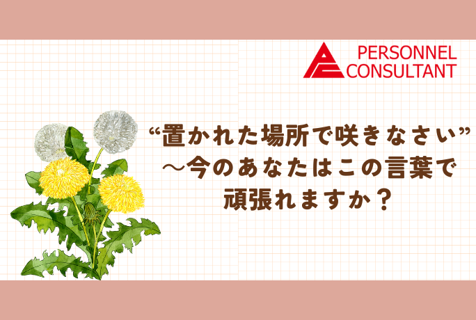 “置かれた場所で咲きなさい”～今のあなたはこの言葉で頑張れますか？