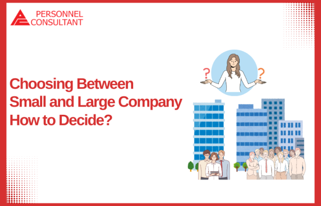 Choosing Between  Small and  Large Company : How to Decide?